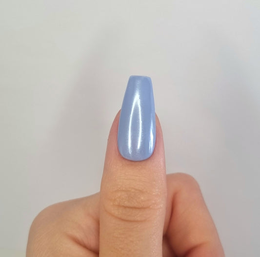 Blueberry Sorbet